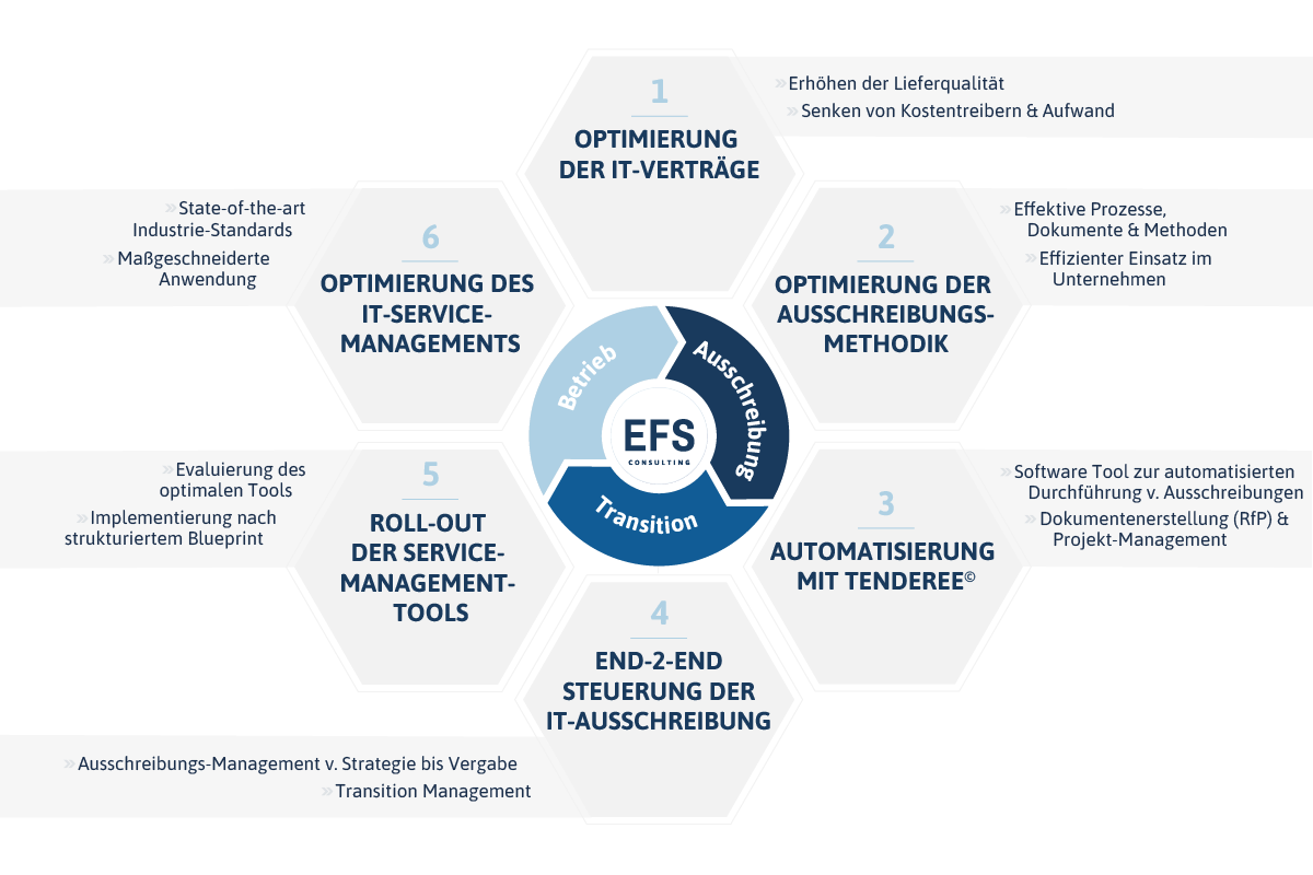 Website Grafiken in Englisch EFS Consulting Angebot für IT-Sourcing & IT-Service-Management-Modell.