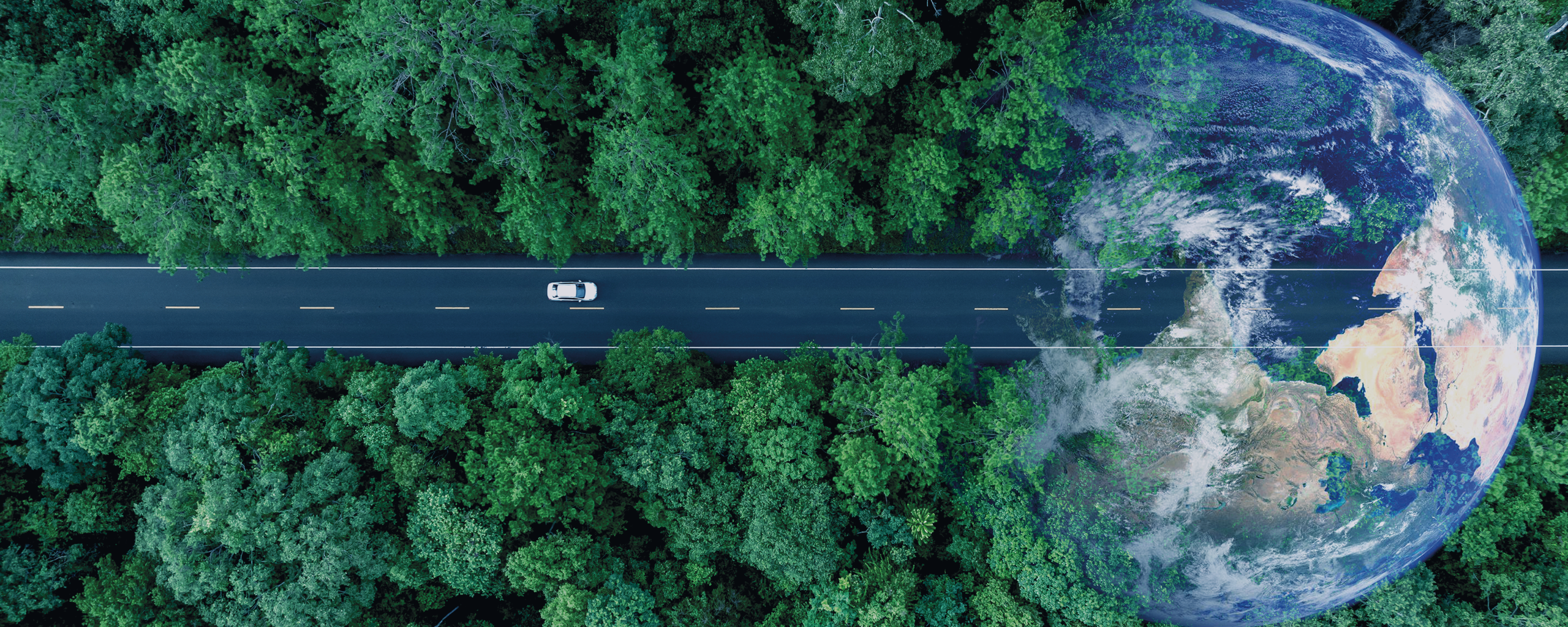 Eine Abbildung zum Thema EU Regulatorik Kreislaufwirtschaft, auf dem Bild ist ein Wald mit einer Straße von links kommend und einem Auto zu sehen, die in die Erde am rechten Rand des Bildes münded.