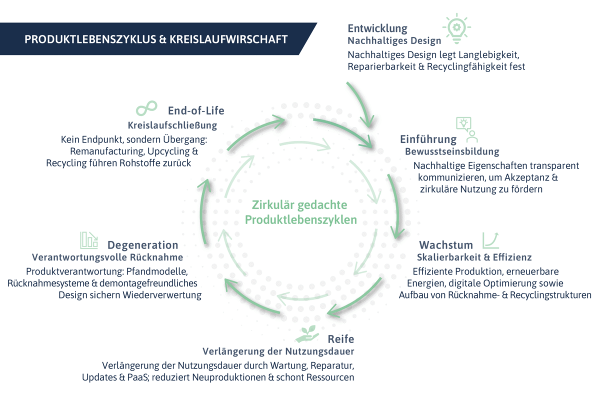 Zyklisches Modell: Produktlebenszyklus und Kreislaufwirtschaft (Circular Economy). Die Phasen sind: Entwicklung (nachhaltiges Design, Langlebigkeit), Einführung (Bewusstseinsbildung, Akzeptanz fördern), Wachstum (Skalierbarkeit, effiziente Produktion, Aufbau von Recyclingstrukturen), Reife (Verlängerung der Nutzungsdauer, Wartung, Reparatur, PaaS), Degeneration (verantwortungsvolle Rücknahme, Pfandmodelle, demontagefreundliches Design) und End-of-Life (Kreislaufschließung, Remanufacturing, Upcycling, Recycling führen Rohstoffe zurück).